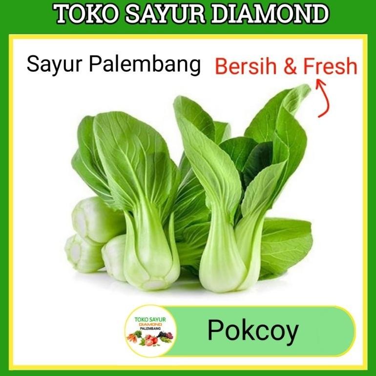 

Pokcoy pakcoy - Toko Sayur Segar Diamond Palembang