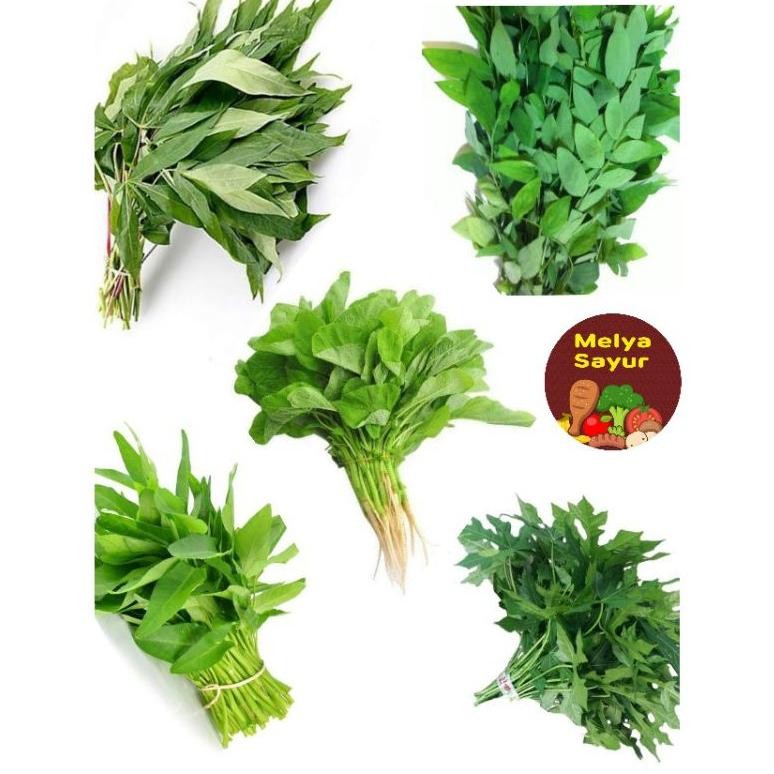 

Sayuran segar- Kangkung / Bayam / Daun singkong / Daun paya jepang / Daun Katuk / Genjer- melyasayur
