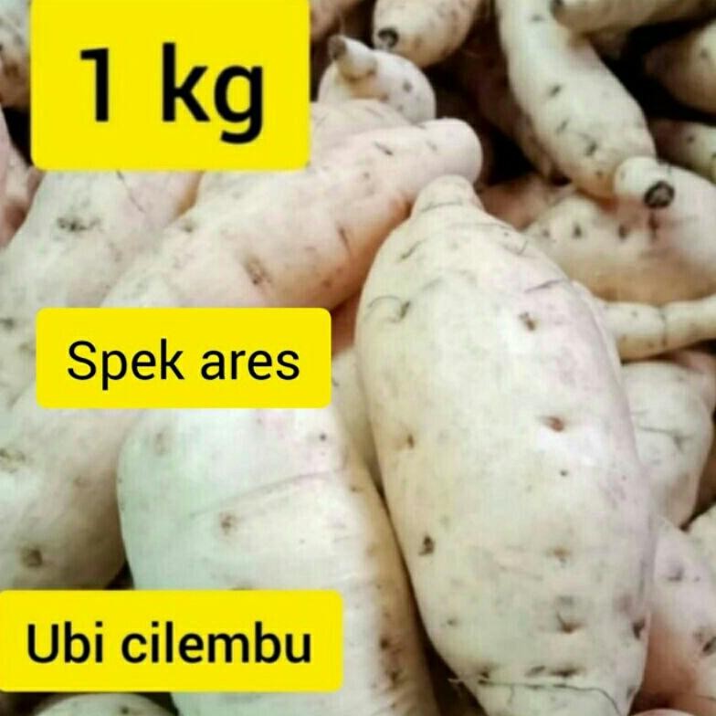 

Ubi Cilembu Asli Spek Ares To 1.kg