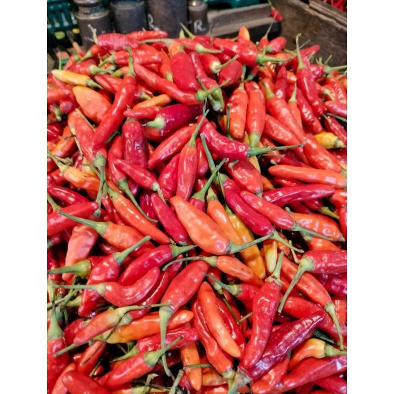 

cabai rawit merah ORI/cabai setan pak Sr super 1 kg