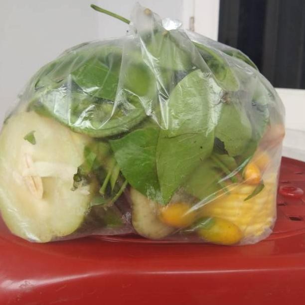 

Sayur asem dan lodeh 1 kantong