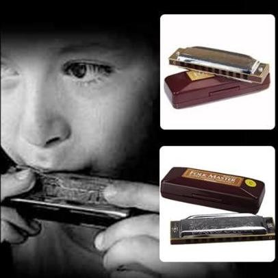 Harmonika Diatonic Suzuki Folkmaster