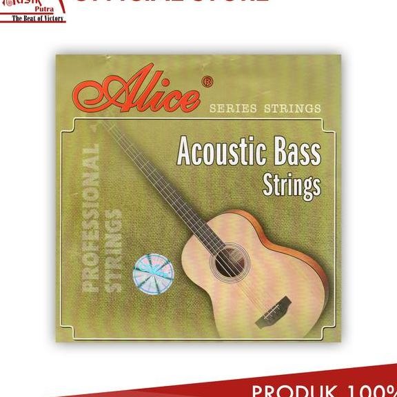 Alice Senar Bass Akustik Acoustic Bass Strings A616L Set 4 String