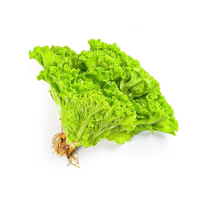 

Selada Keriting Konvensional Kiosayur