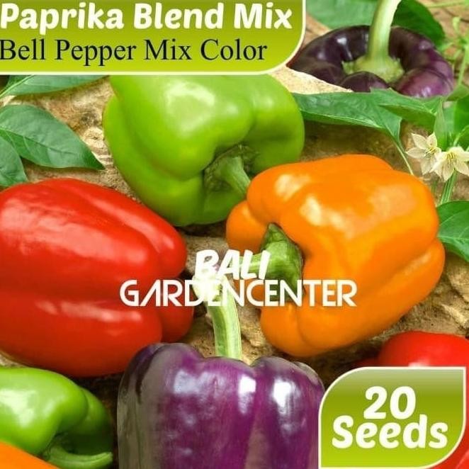 Paket Biji Bibit Buah Paprika 4 Jenis manteb AMMF SUPER