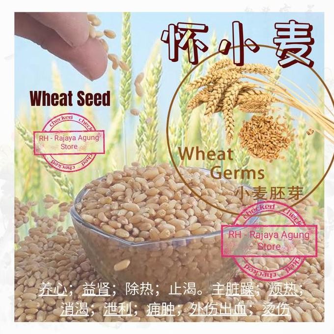

100G Wheat Germ Seed Barley Malt Beras Gandum Oat Xiao Yan Mai Terbaru