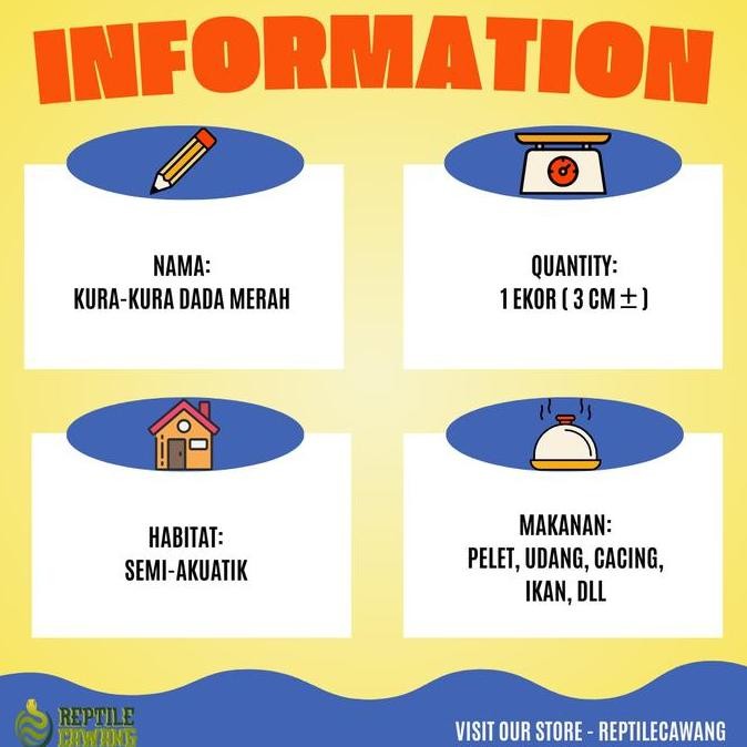 New* Kura Kura Dada Merah Damer Grade A .