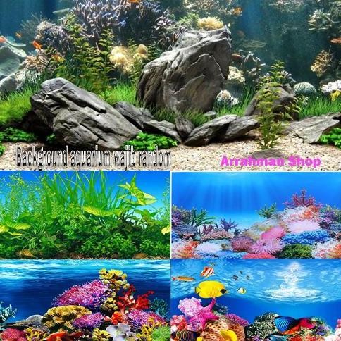 ready Background Wallpaper Aquarium Panjang Meteran Tinggi 30 40 50 60 cm Begron Gambar Belakang Cov