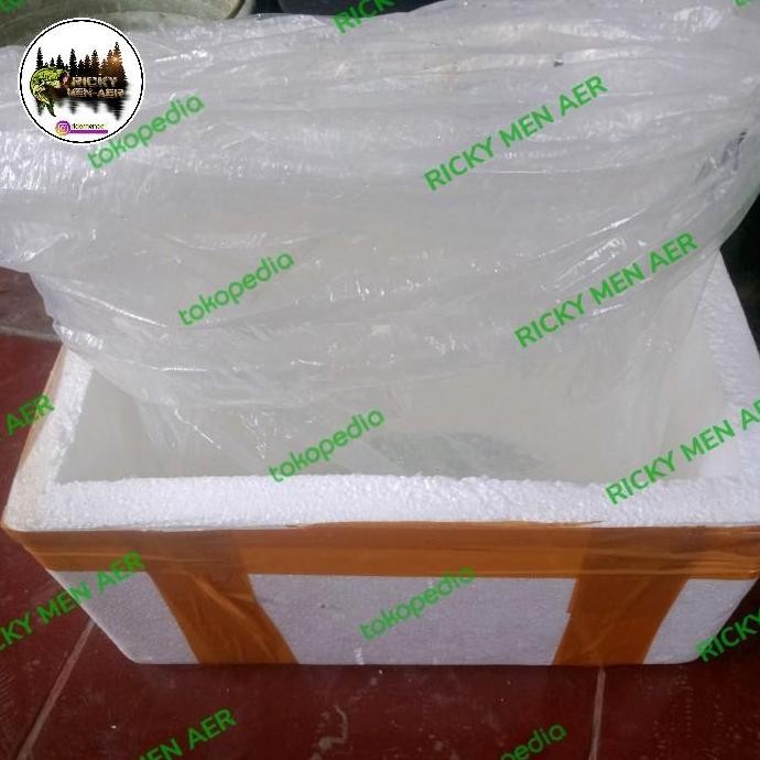 

baru PACKING TAMBAHAN STEROFOAM