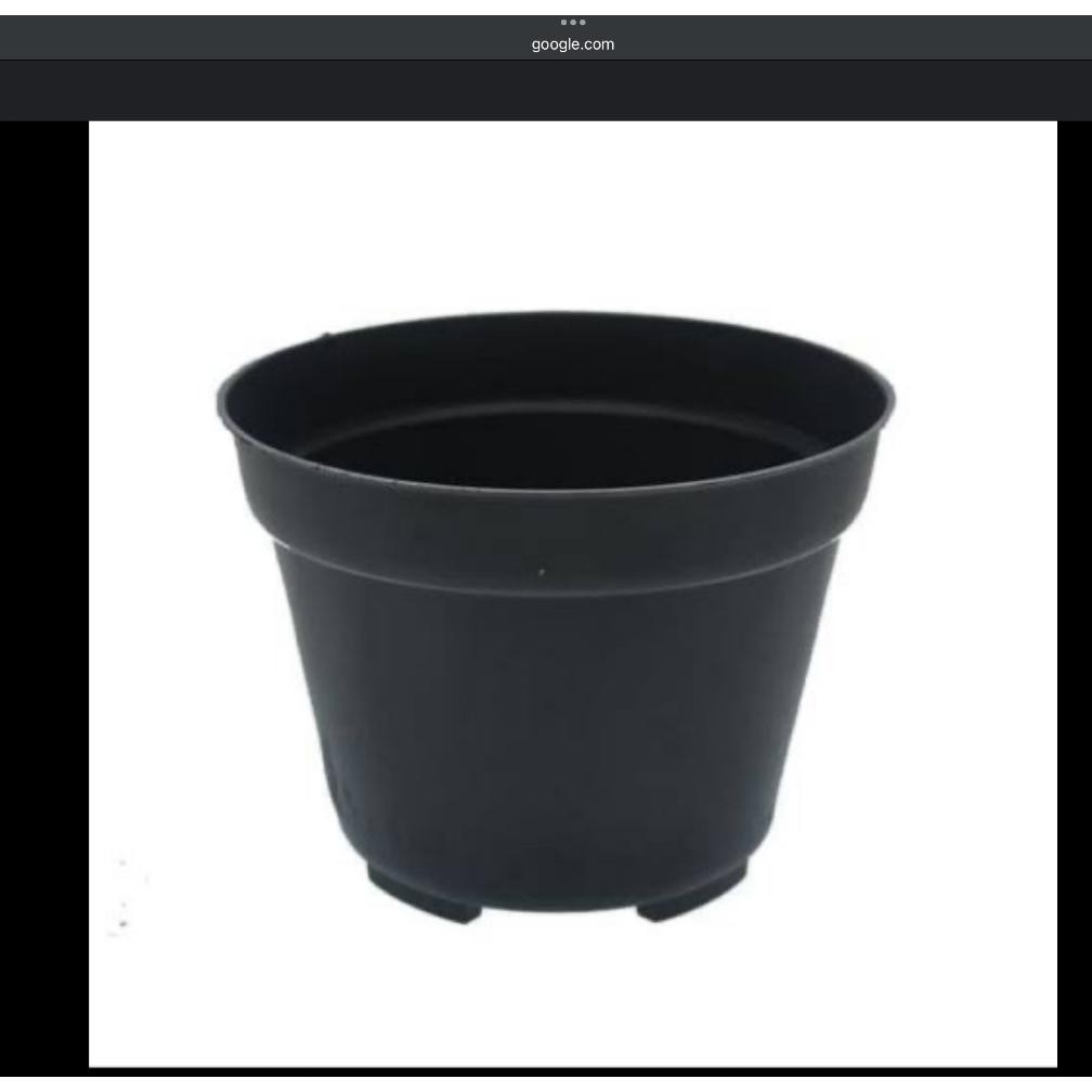 Pot Bunga Plastik 24Cm / Grosir Pot Bunga Ready