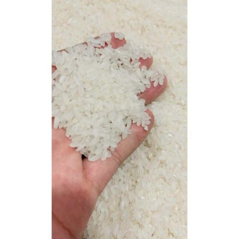 

ready BERAS PANDAN WANGI (100% ORIGINAL WANGI PANDAN) KARUNG POLOS murah