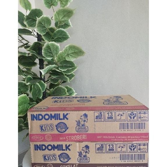 

(Expert) SUSU INDOMILK KIDS 115ml