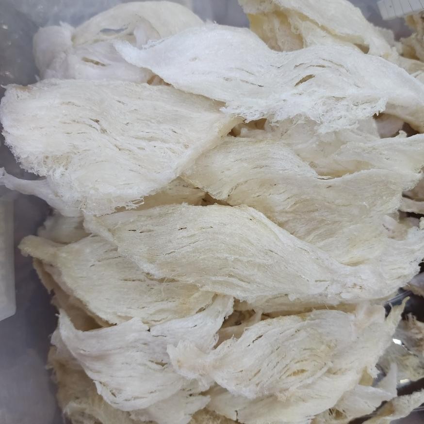 

Sarang Burung Walet Birdnest Bersih Lempeng Flat Export / gram Asli Yenwo