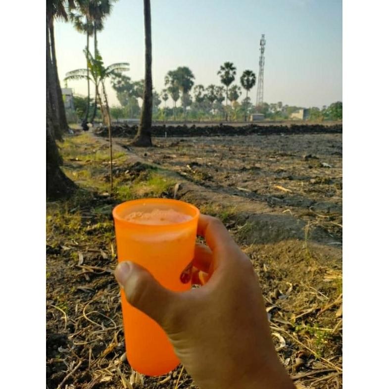 

[spesial hanya khusus instan ato Sameday] Legen Murni melalui proses penyulingan / Air Nira Siwalan (bisa melancarkan saluran kemih, menghilangkan capek punggung, serta mampu meluruhkan batu ginjal )