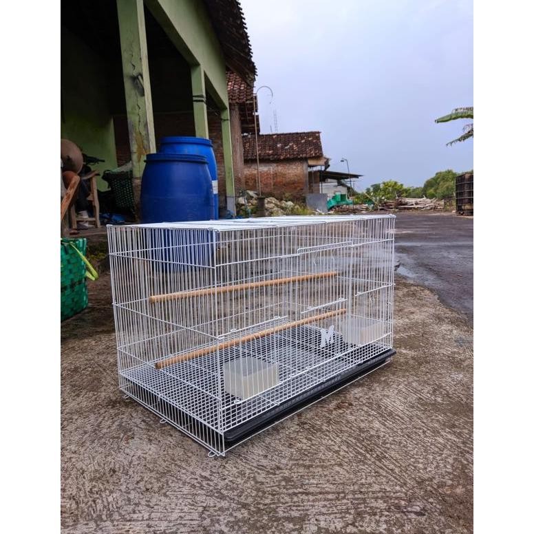 READY STOCK Kandang Kotak Besi Kandang Ternak Burung Kandang Suger Glider Burung DLL