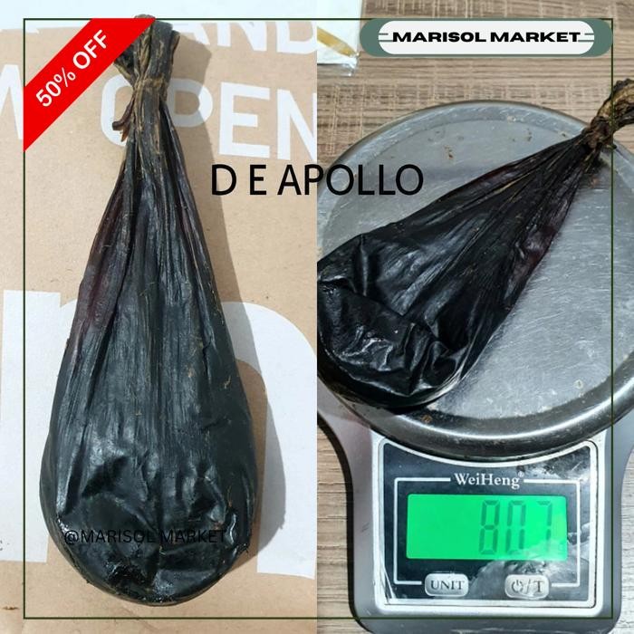 

XIONG DAN ASLI 100% KERING IMPORT OBAT HERBAL BUKAN EMPEDU ULAR COBRA EKSKLUSIF