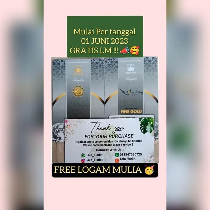 

fresh pohon sawo madu cangkok