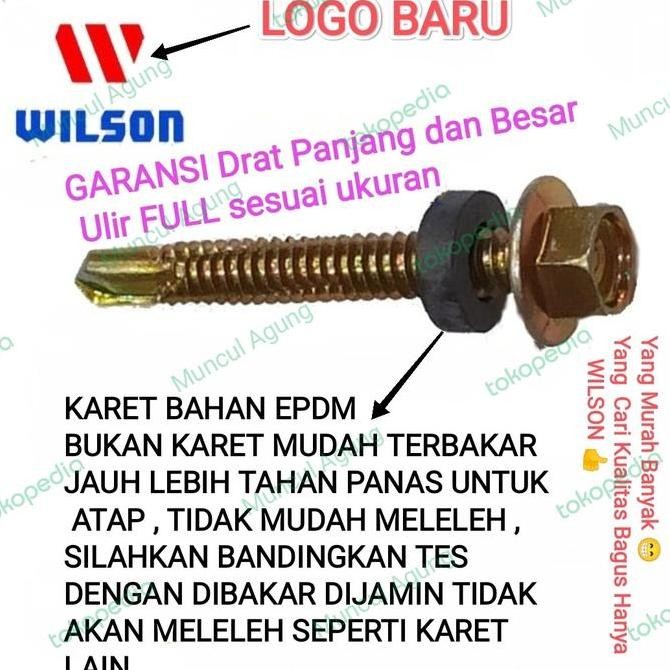 Baut Roofing Baut Baja Ringan Skrup Baja Ringan Skrup Roofing 5Cm 5 Cm