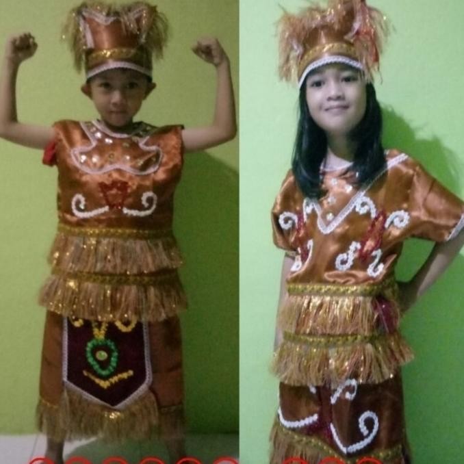 Pakaian Adat Papua Anak Tk - Sd / Baju Anak Adat Papua