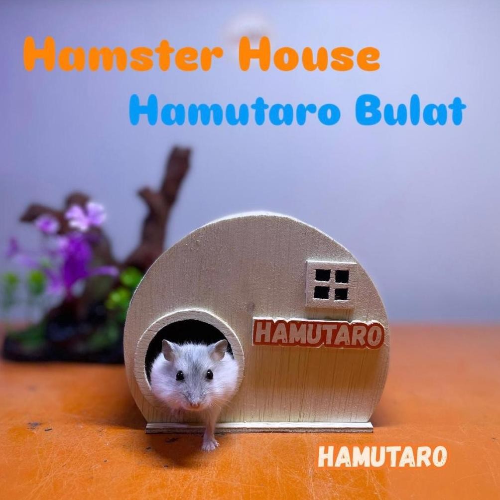 Rumah Hamster Kayu Hamtaro Lucu Aman Alami AST
