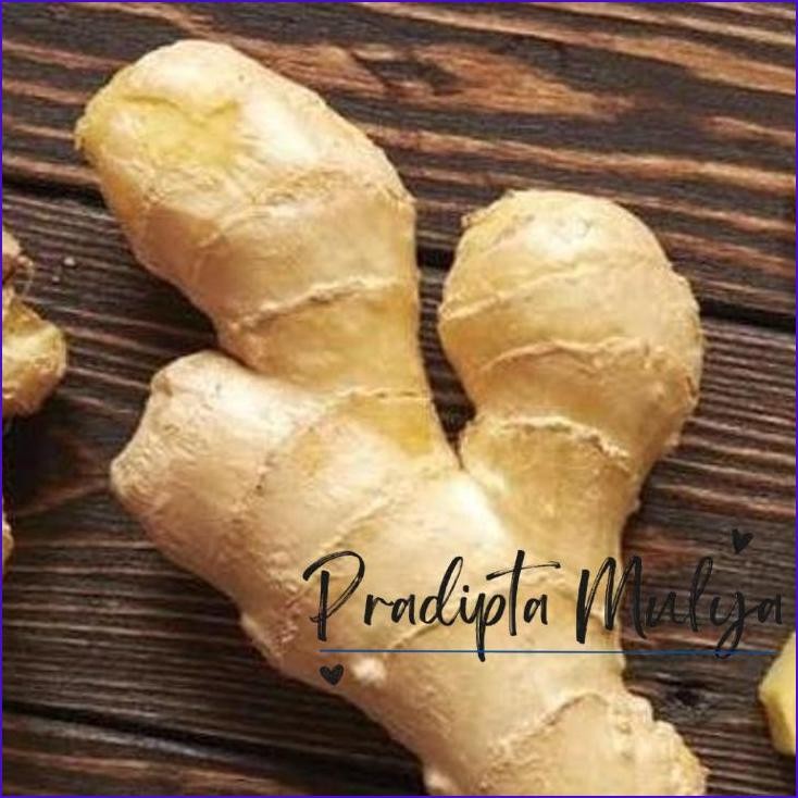 

Murah..!! Sayurhd Jahe Per 250Gr