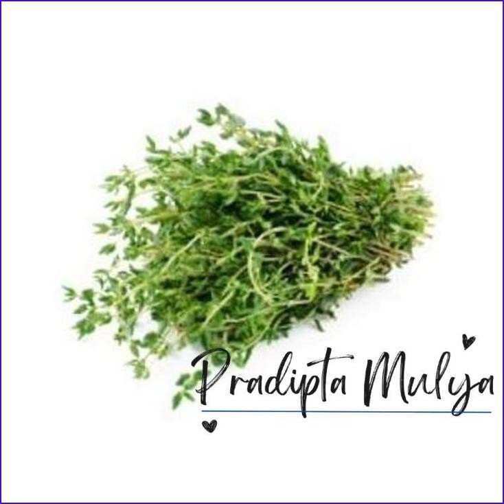 

Stok Ready.! Thyme Organik 50Gr