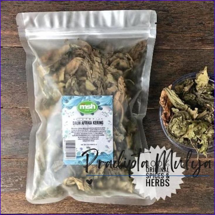 

Baru..!! Daun Afrika Kering 50 Gram