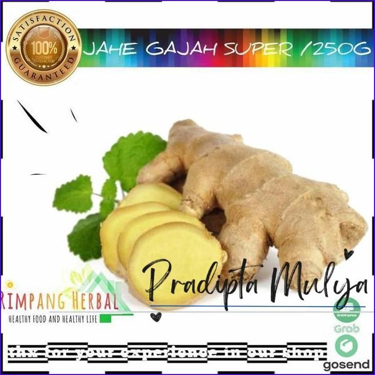 

Ready..!! Jahe Gajah / Jahe Putih Segar Bersih 250G