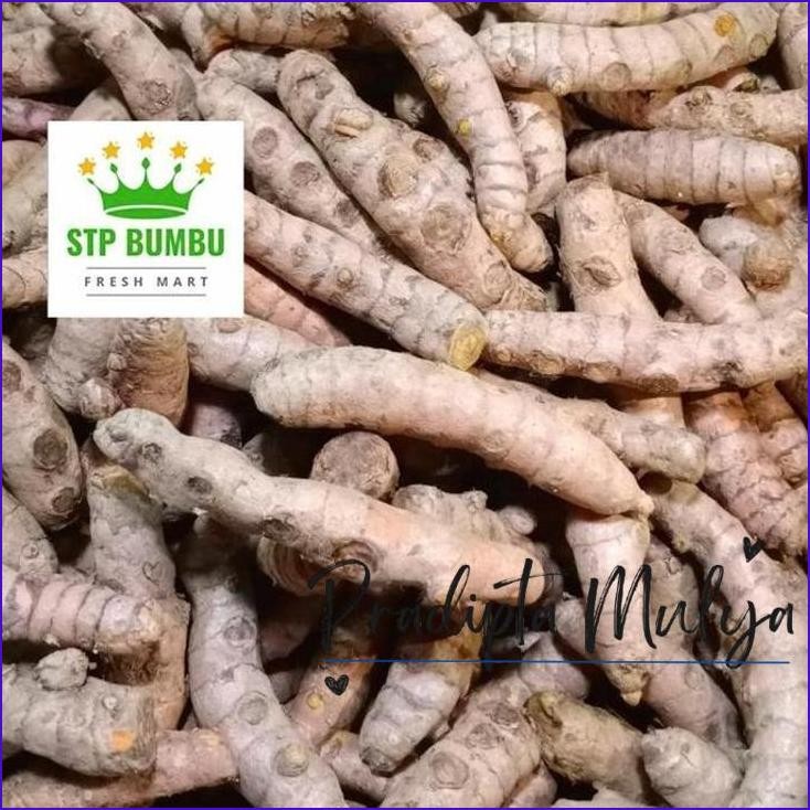 

Stok Ready.! Kunyit Segar Super 1 Kg