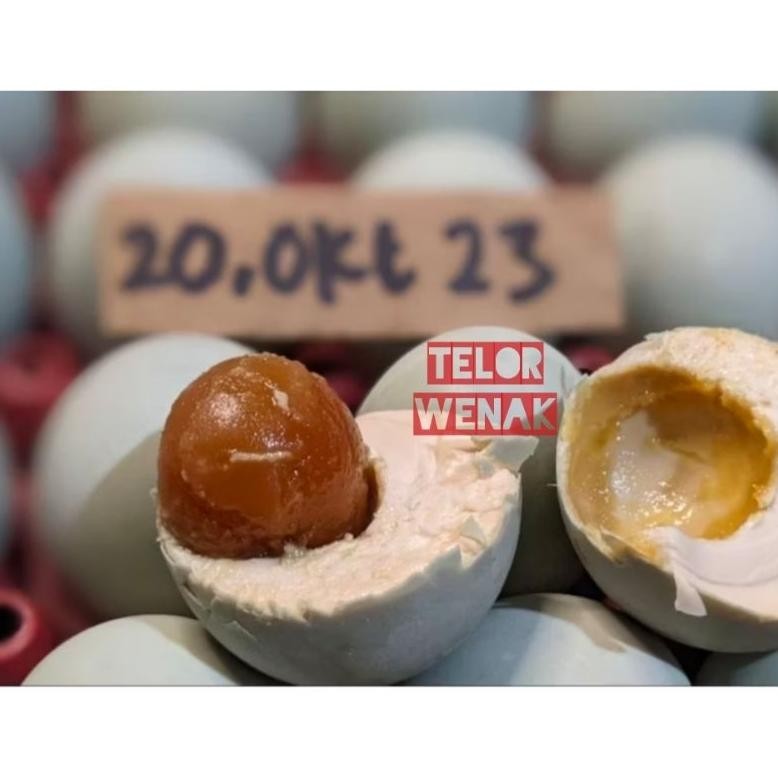 

TELUR ASIN JEMBAR ISI 10 BUTIR (FREE BUBBLE WRAP TEBAL PERBUTIR)