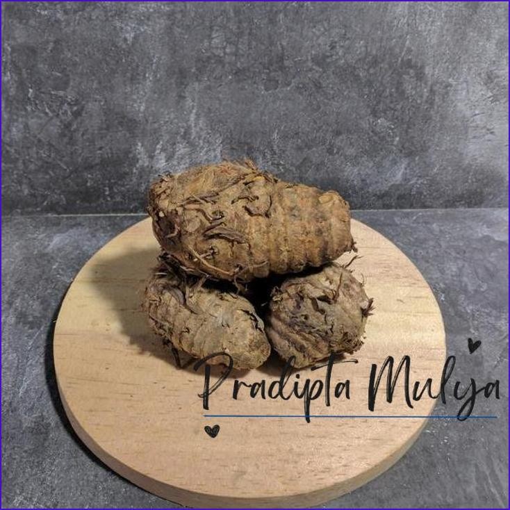 

Langsung Di Co Biang / Bonggol / Pala Kunyit Segar 1 Kg