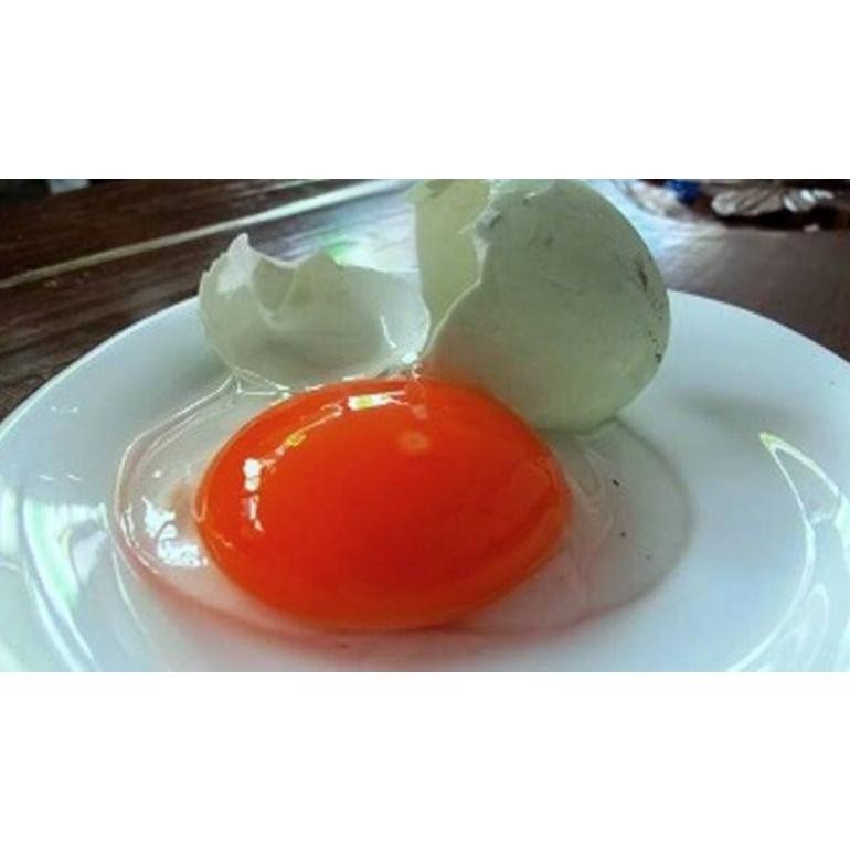

TELUR BEBEK MENTAH FRESH (PER BUTIR)