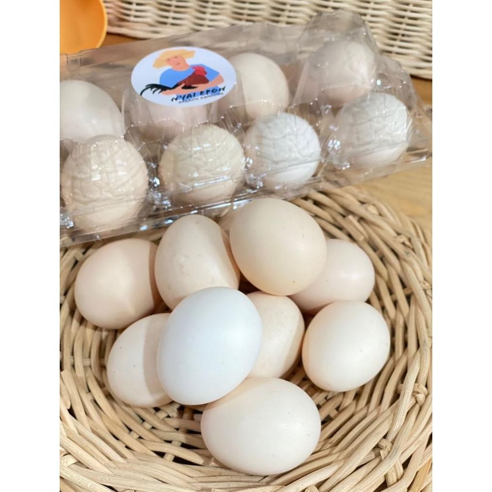 

TELUR AYAM KAMPUNG ORGANIC OMEGA-3 FREE RANGE EGG ISI 10 BUTIR