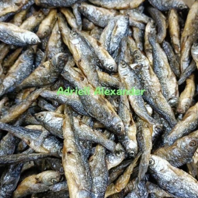 

Ikan Bilis Padang 1Kg
