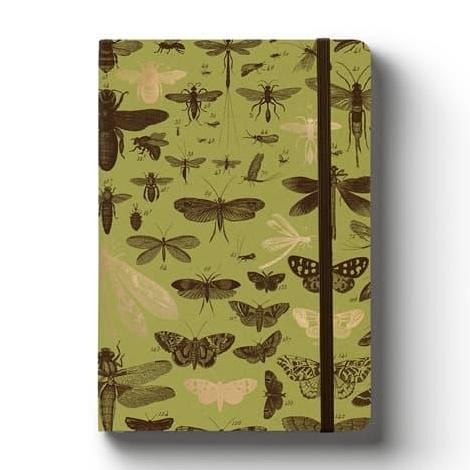 

Notebook A5 Lined Insects