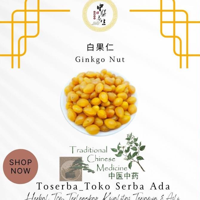 

600Gr Herbal Bai Guo Ginkgo Biloba Ginko Pat Kuo