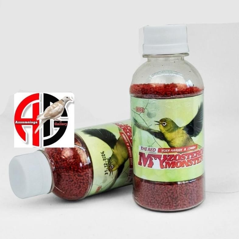 voer red zomo voer pleci , voer harian dan lomba burung pleci AST