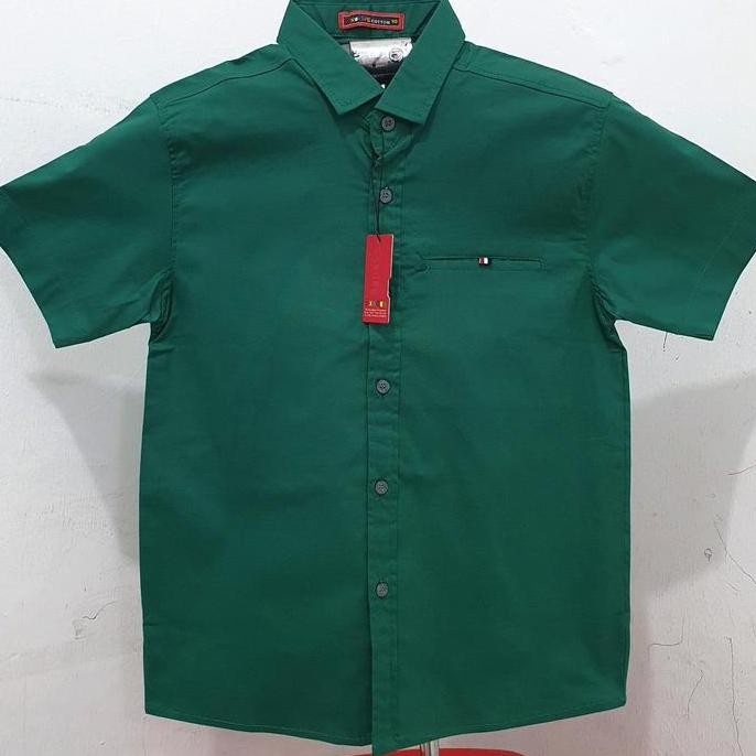 Kemeja Polos Anak Laki Import 4-15 Tahun Hem Katun Stretch Lengan Pendek Anak Remaja /Anak Tanggung 