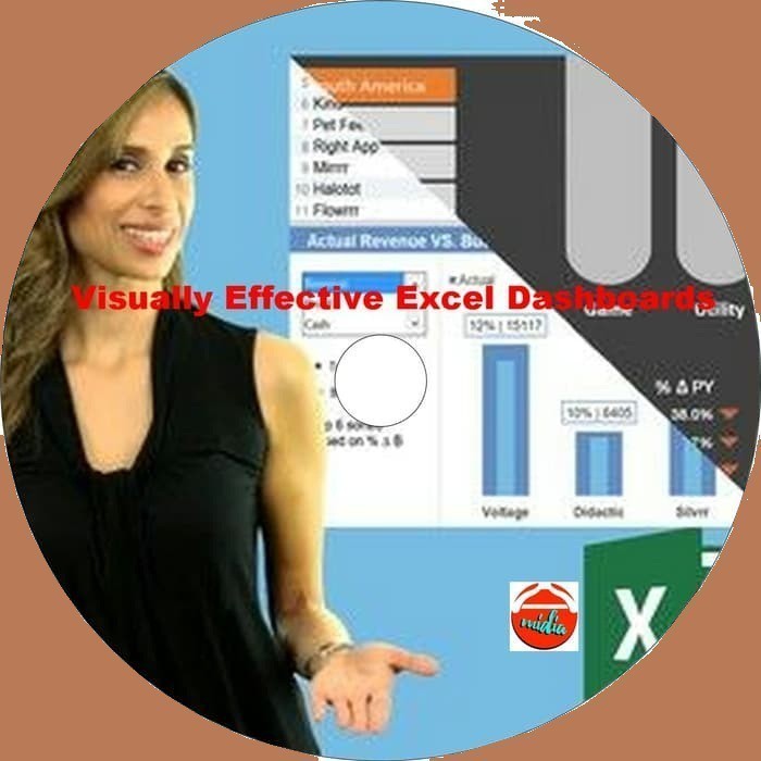 Tutorial Udemy Visually Effective Excel Dashboards Work