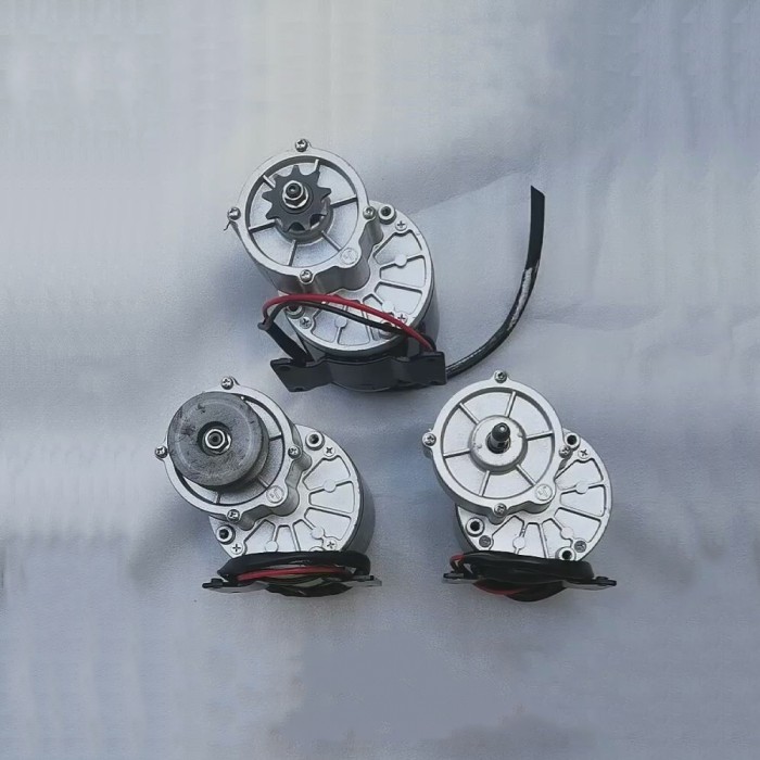 MY1016Z2 DC12V 24V 36V 250W 350W GEAR MOTOR