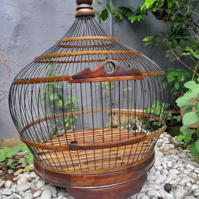 TERBARU kandang ayam hutan/bekisar