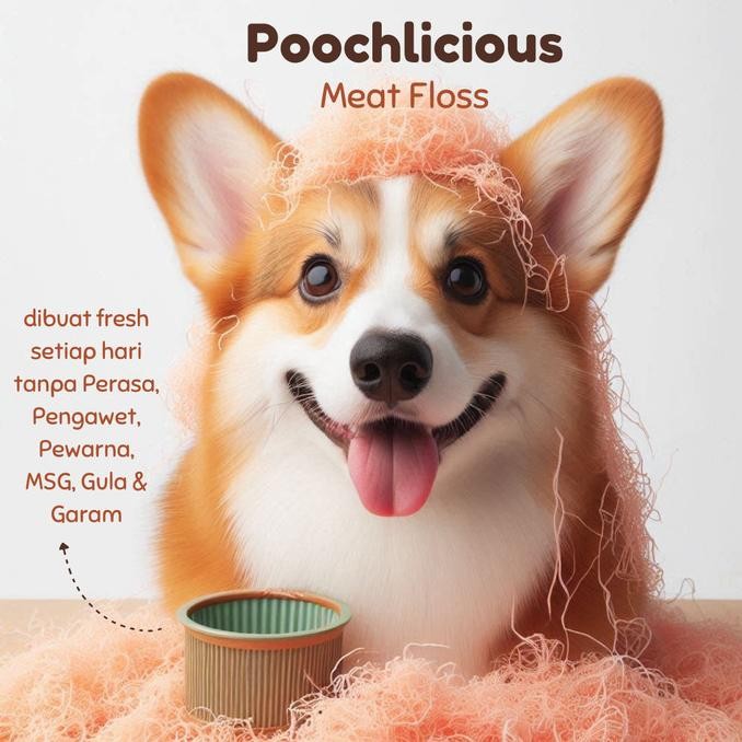 

BARU POOCHLICIOUS MEAT FLOSS POWDER (100% REAL MEAT / ABON U/ PICKY EATER)