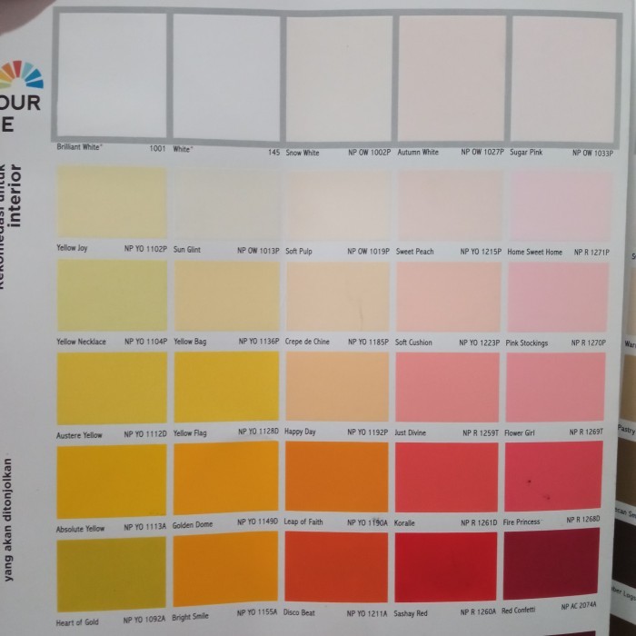 Cat Tembok Interior Nippon Paint Spotless 20Ltr