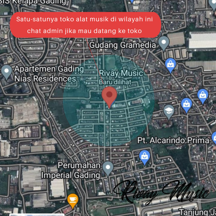 New Gitar akustik cort klasik custom guitar akustik senar nilon