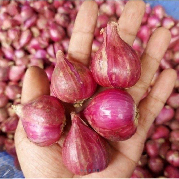 

TERLARIS BAWANG MERAH BREBES BESAR 1KG. MURAH!!! MURAH