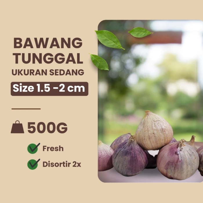 

TERLARIS BAWANG PUTIH TUNGGAL LANANG SEDANG 1.5-2 CM 500GR MURAH!!! MURAH