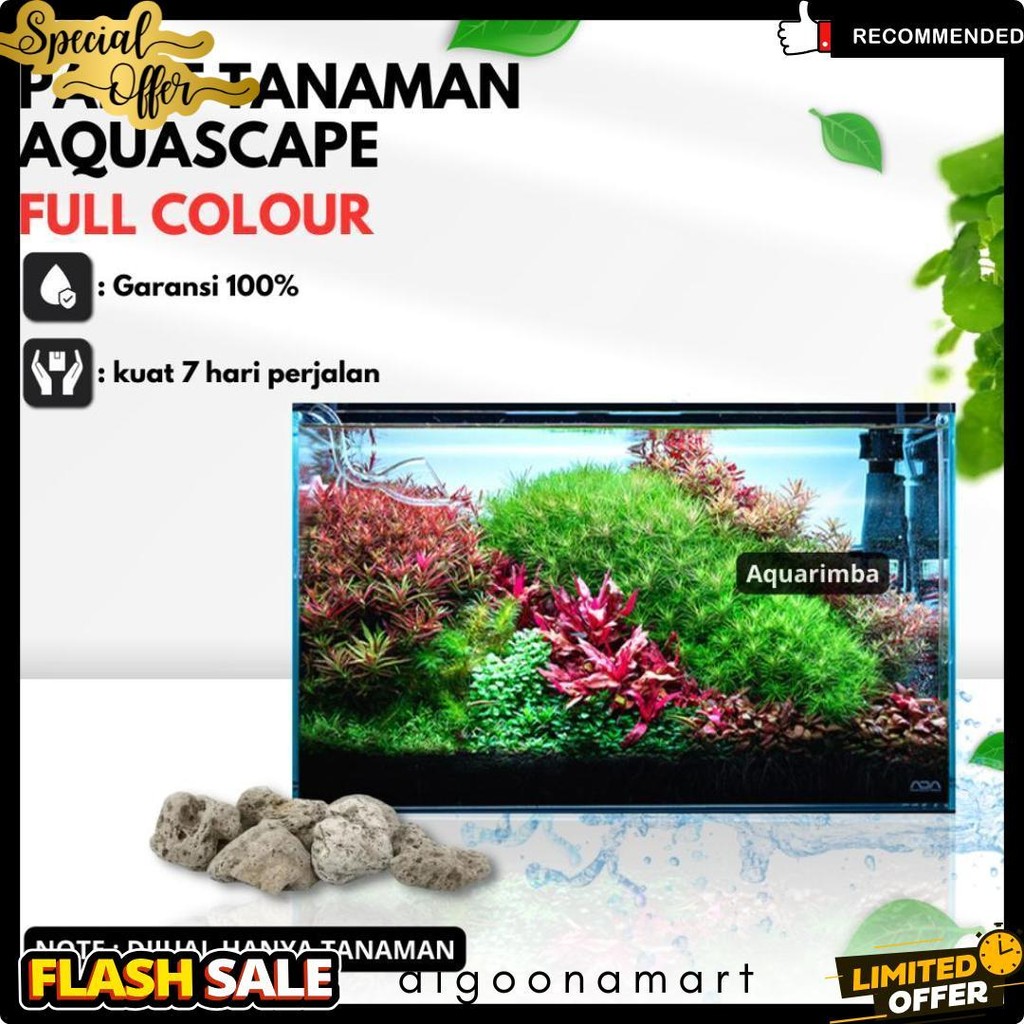 Paket Dutch Style  ( Tanaman Aquascape Tumbuhan Air Hidup Hiasan Dekorasi Pohon Rumput Aquarium ) Di