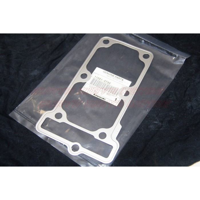 Paking Packing Boring Blok Seher Ninja 250Fi Ninja 250 Fi 11061-0790 Termurah Langka