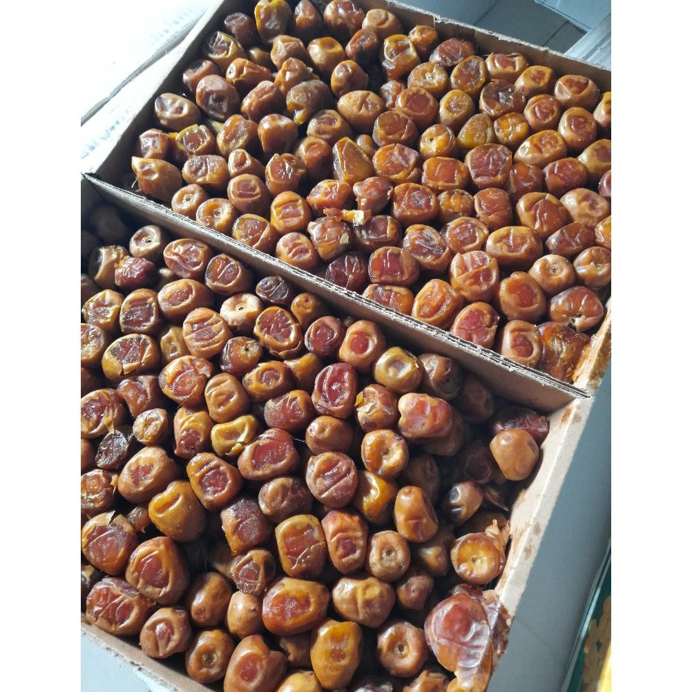 

risto- kurma sukari 3 kg grade a kurma sukari al qassim 3 kg