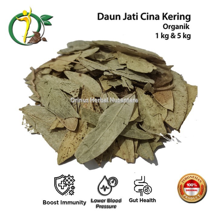 

Daun Jati Cina Senna Alexandrina Grade A Murni Curah
